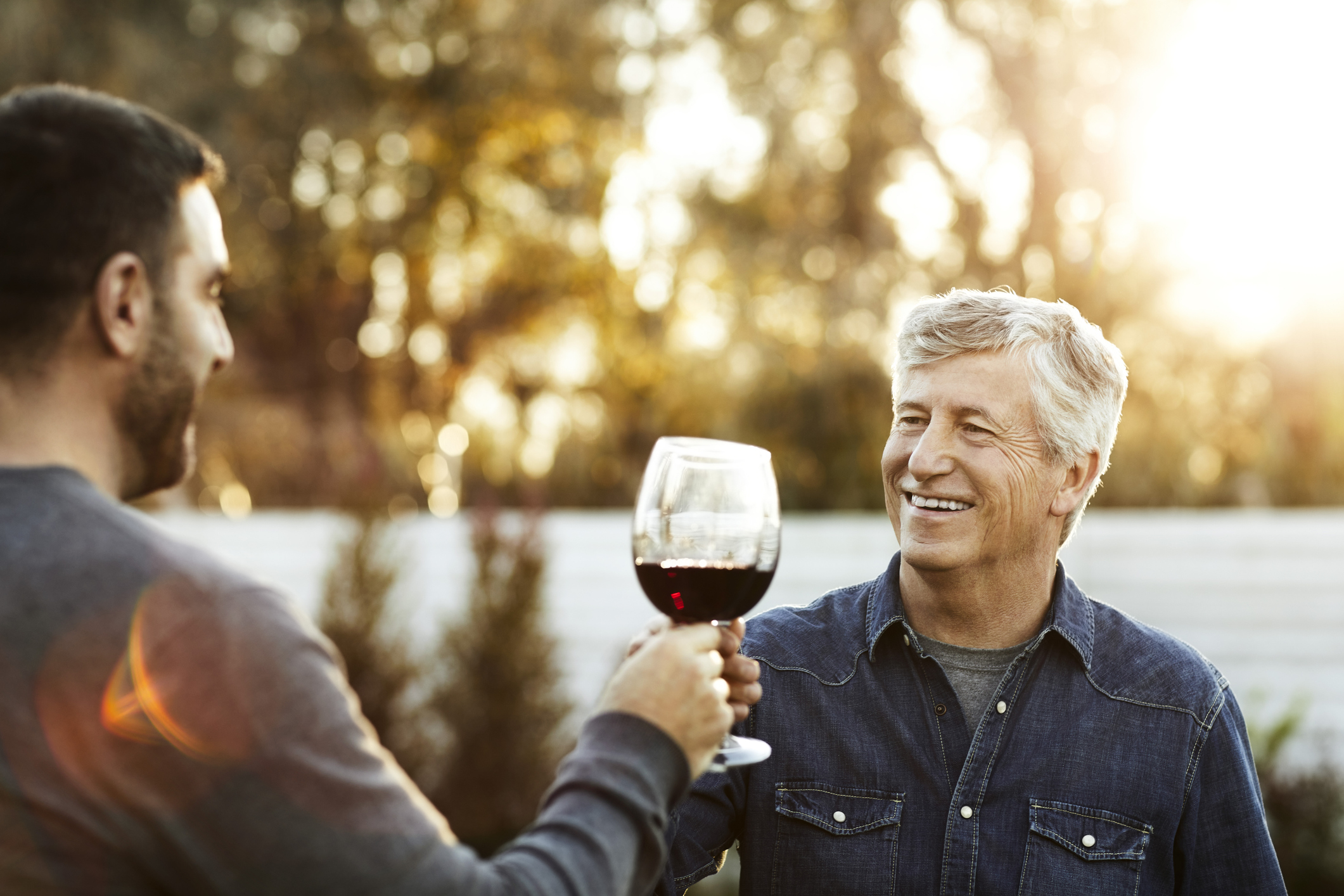 Smiling father and son toasting wineglasses