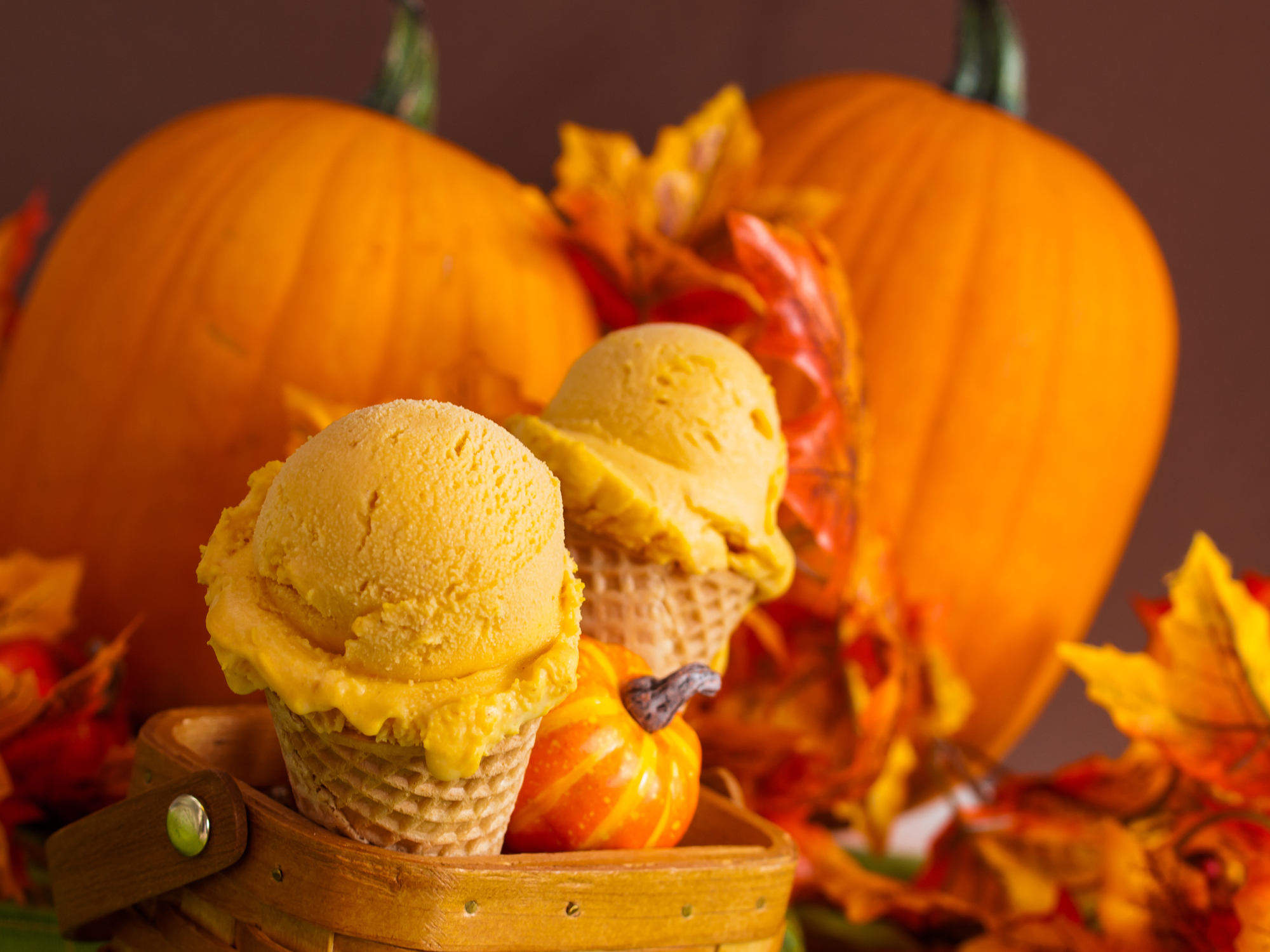 Pumpkin Gelato